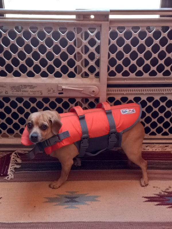 Outward Hound Ripstop Dog Life Jacket