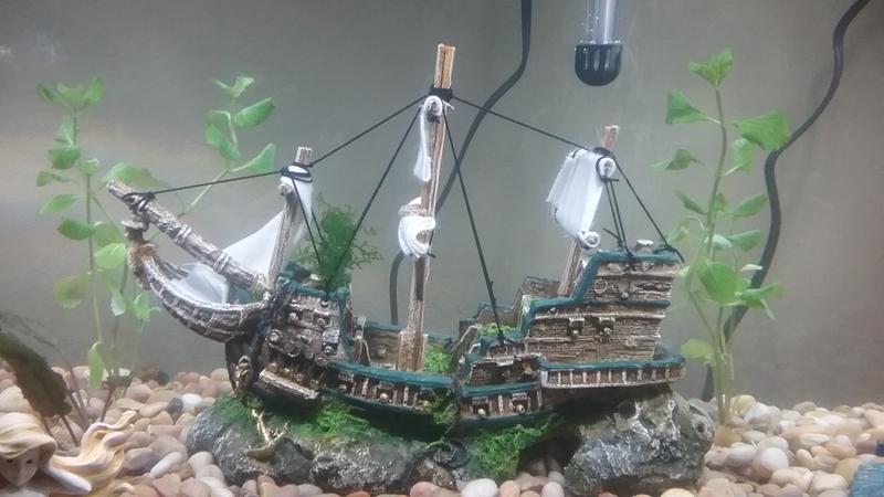 top fin ship aquarium ornament