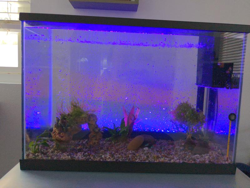 Led bubble wall aquarium sale