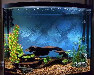 marineland 38 gallon aquarium starter kit