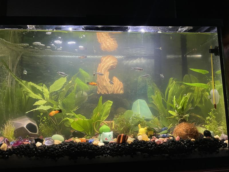 Top Fin Floating Rockscape Aquarium Ornament