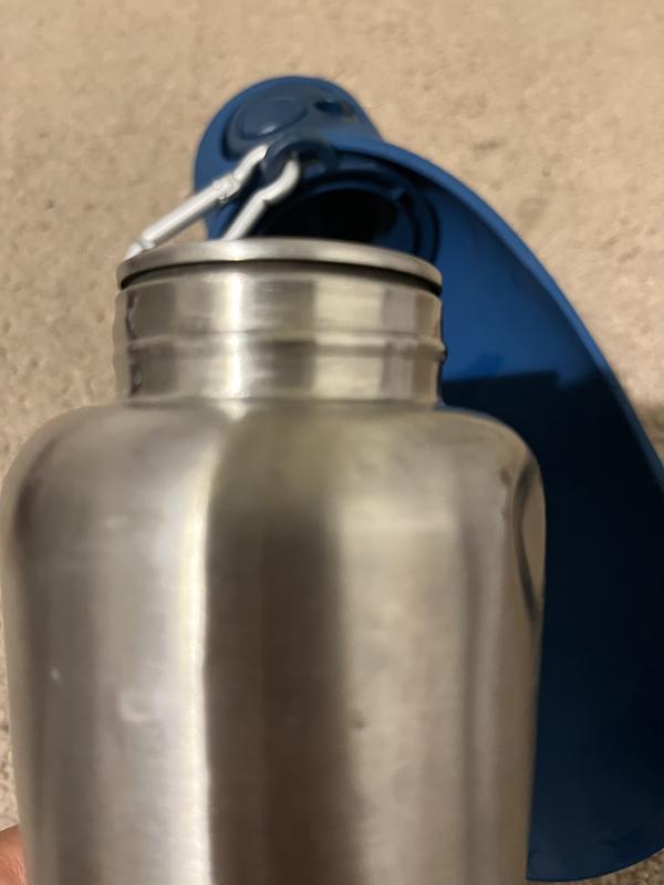 Dog travel water bottle hot sale petsmart