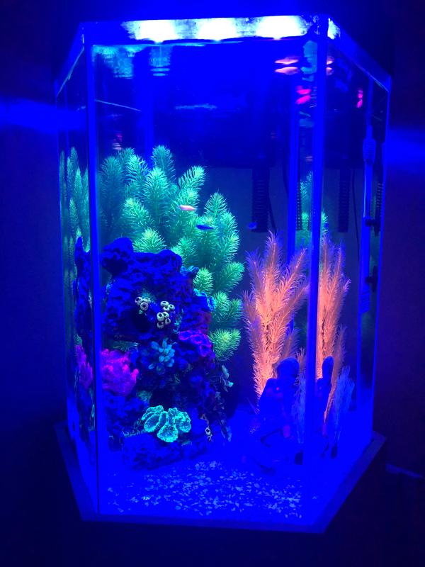 top fin 20 gallon hexagon tank stand