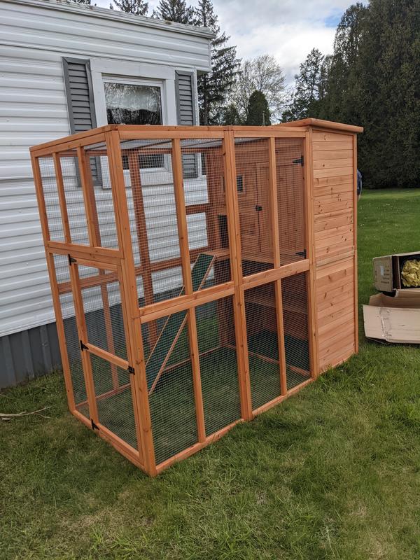 Petsmart catio hotsell