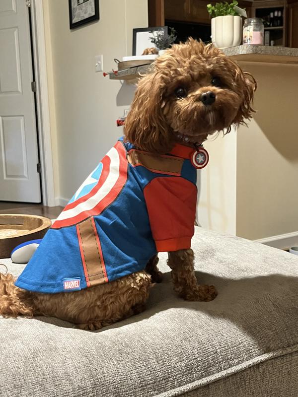 Marvel dog clothes best sale