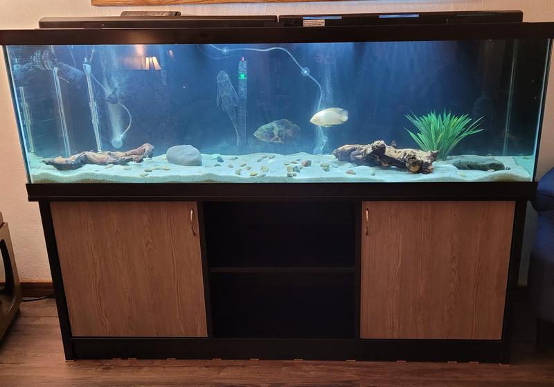 Petsmart fish tanks 125 gallon best sale