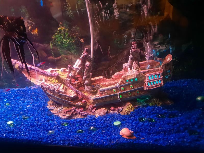Top fin ship aquarium ornament sales