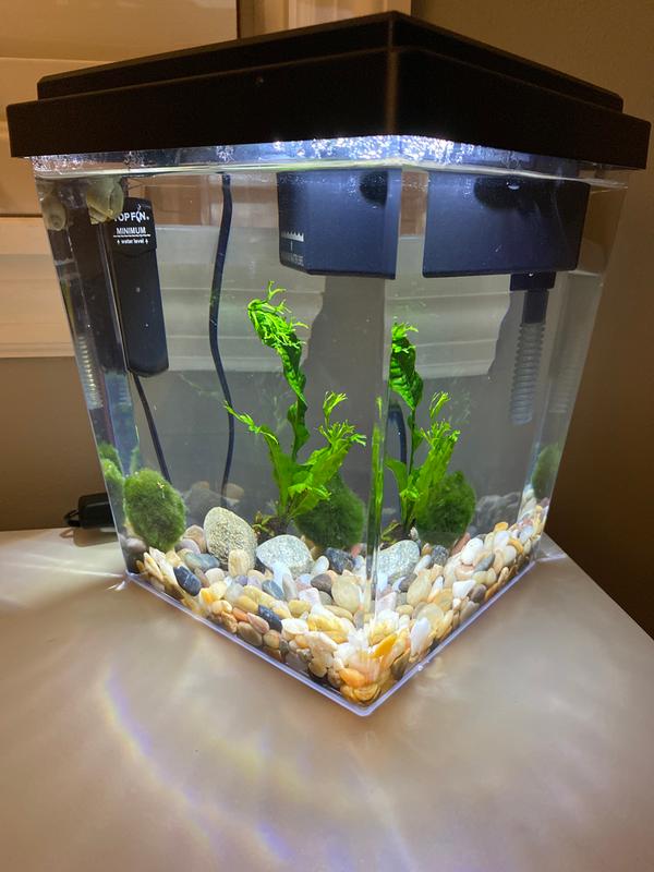 1 gallon store fish tank filter