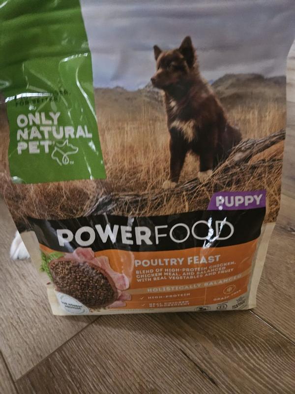 Canine power outlet food