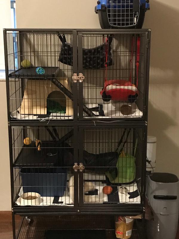 prevue hendryx black feisty ferret cage