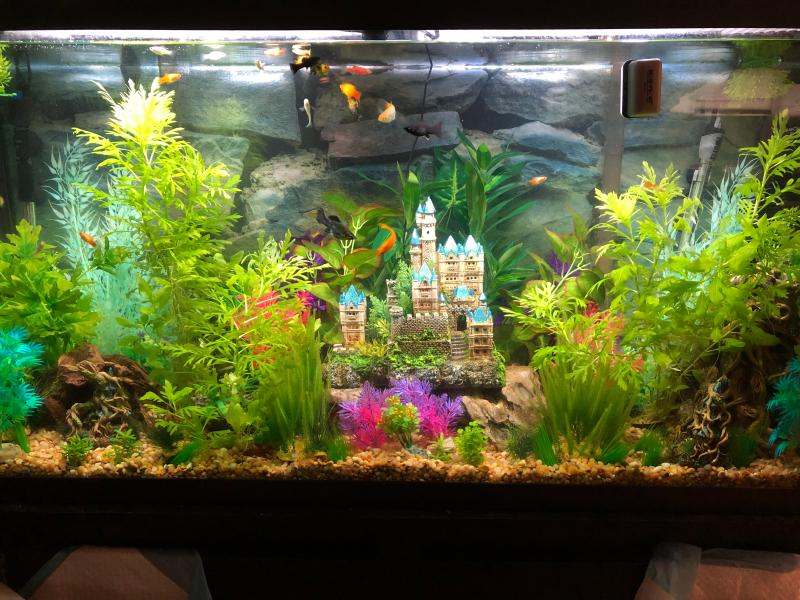 alice in wonderland fish tank decorations