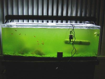 petsmart uv sterilizer