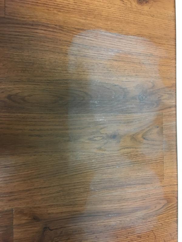 top paw stay put bowl and mat set