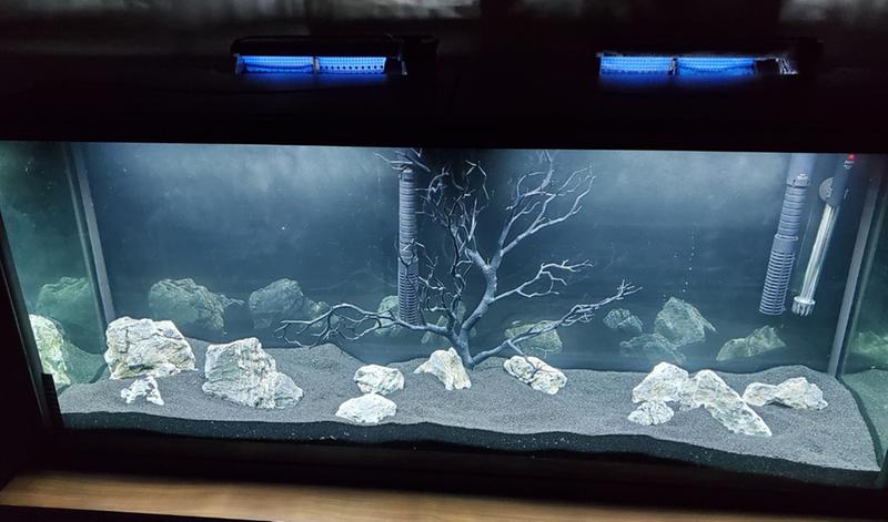 petsmart 5.5 gallon tank