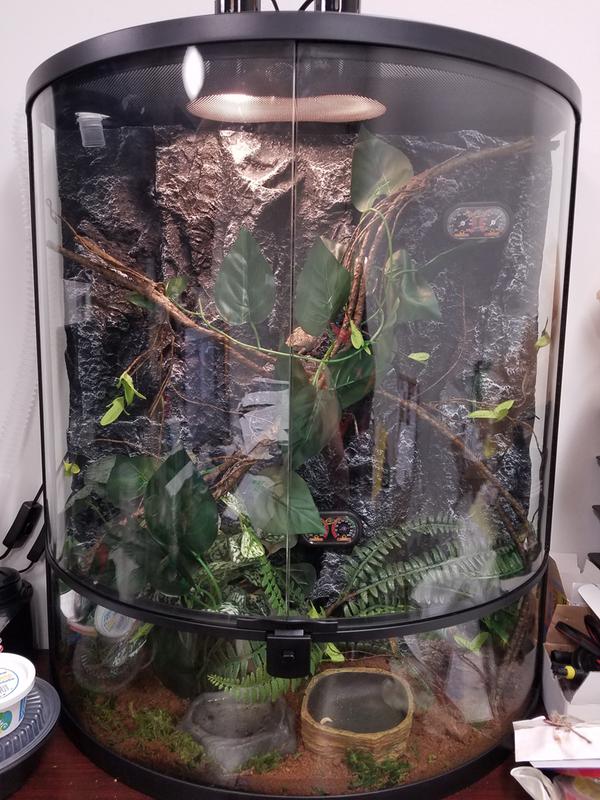 petsmart terrarium sale