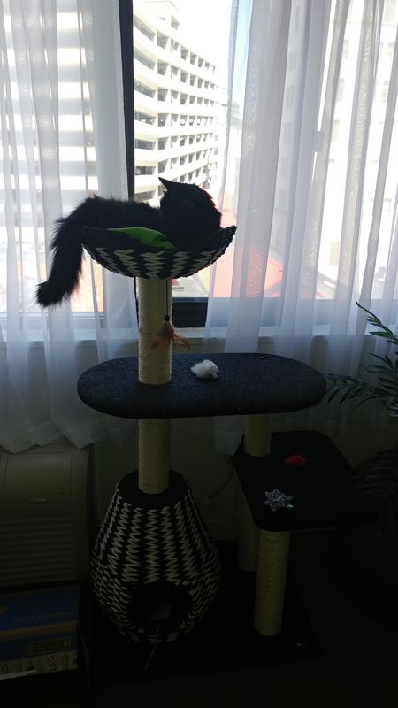 Petpals 49 In Contemporary Cat Tree With Recyclable Paper Rope Perch Condo Lounger Black White Cat Furniture Towers Petsmart