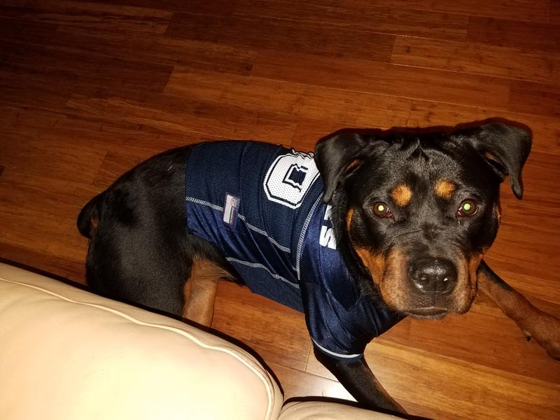 cowboys dog jersey