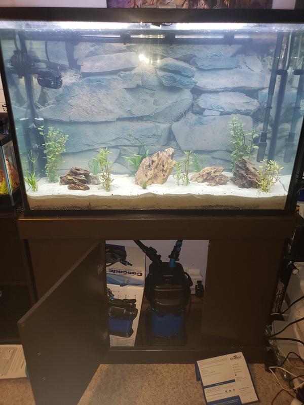 90 Gallon Stocking Ideas : r/Aquariums