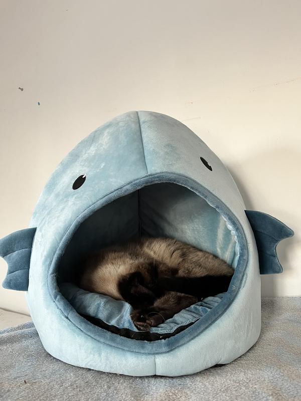 Whisker city cat bed hut new arrivals