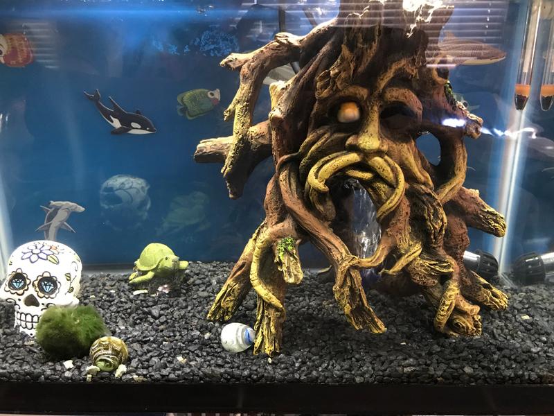 creepy fish tank decorations