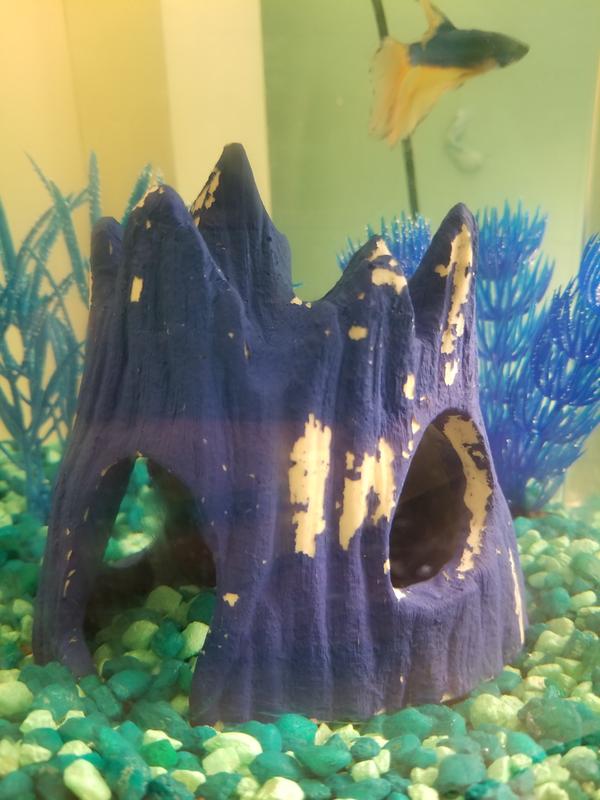 petsmart fish tank accessories