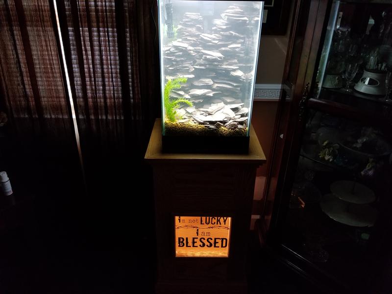 Aqueon 15 gallon column sale