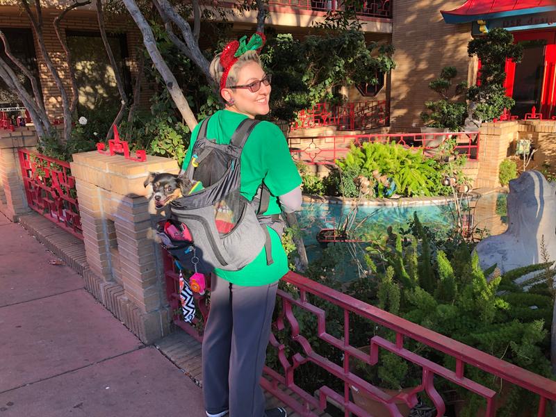 top paw dog backpack