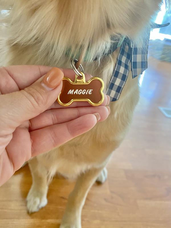 works Elegance Collection Gold Bone Personalized Pet Id Dog Id s Petsmart