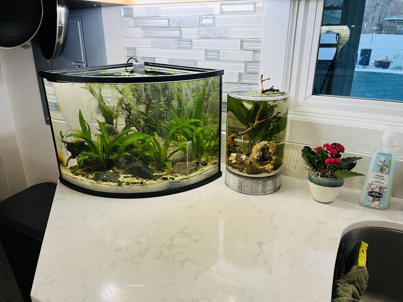 Petsmart corner aquarium best sale