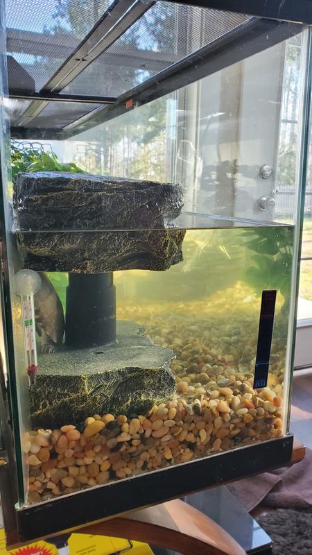 turtle basking platform petsmart