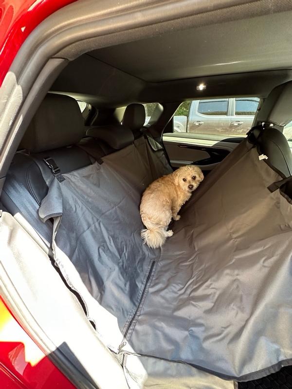 Dog car hammock petsmart best sale