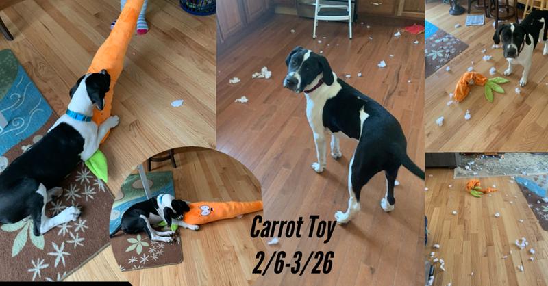 stuffed carrot dog toy