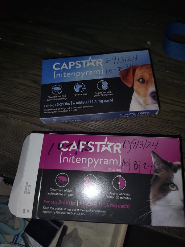 Capstar 2 25 Lb Dog Flea Treatment 6 Count