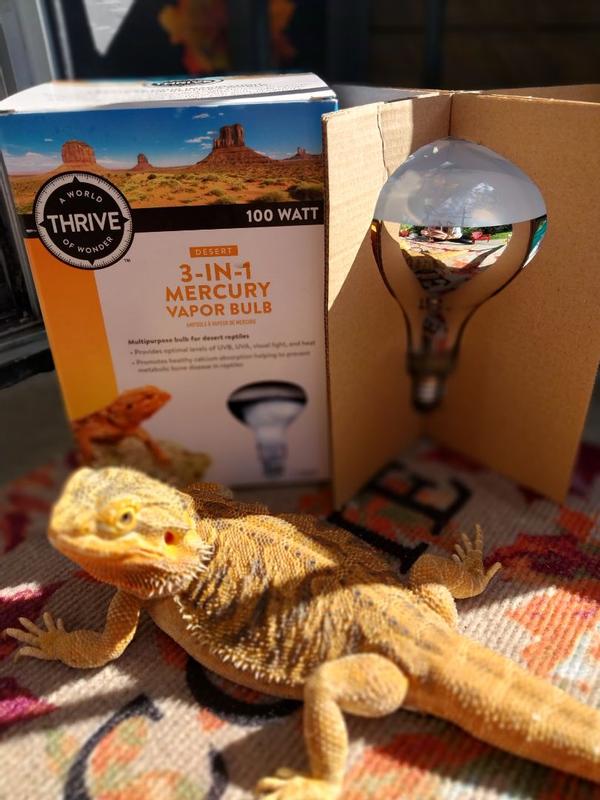 Thrive 3 in 1 Mercury Vapor Bulb