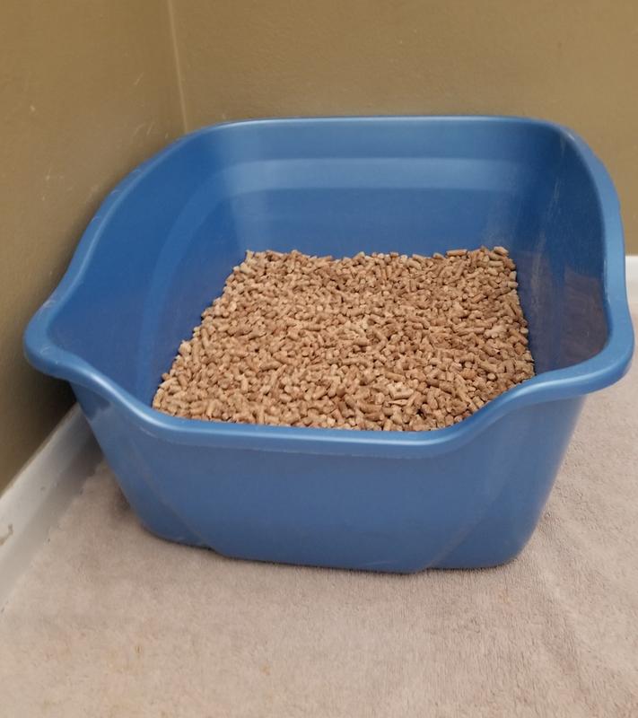 Petsmart exquisicat pine litter best sale