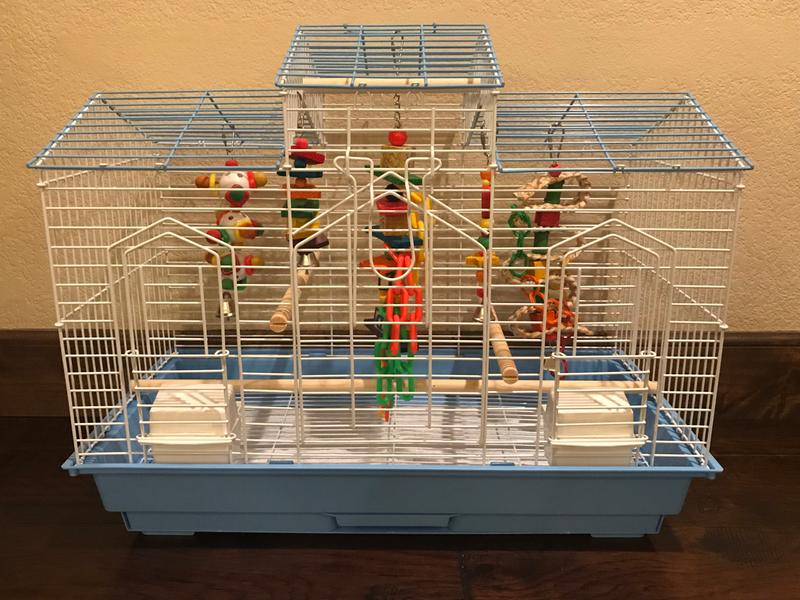 petsmart large bird cages