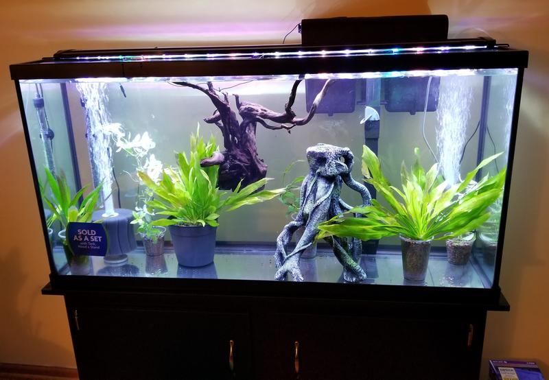 Marineland Modern LED Aquarium Stand Ensemble 60 Gallon