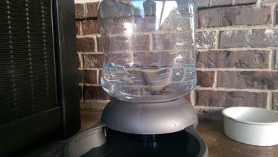 petmate mason jar waterer