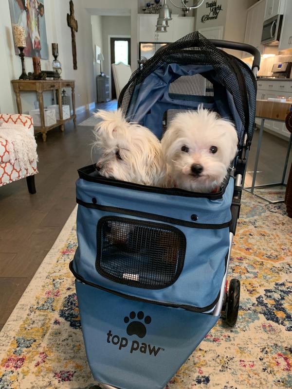 top paw pet stroller petsmart