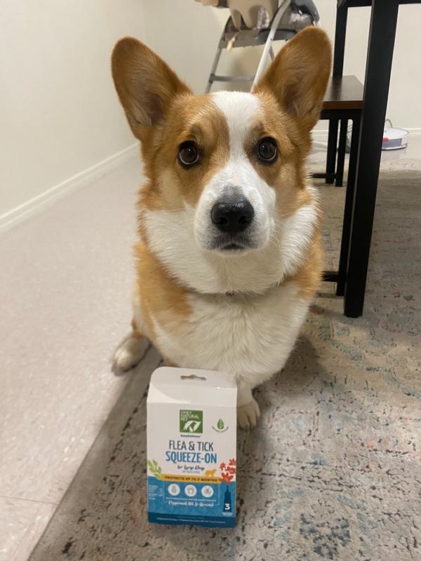 Natural chemistry flea and tick squeeze on sale