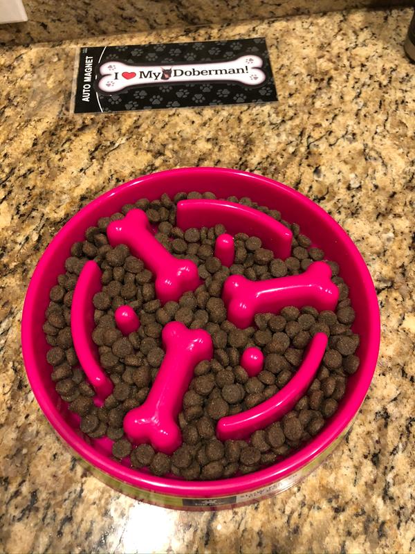 petsmart slow feeder bowl