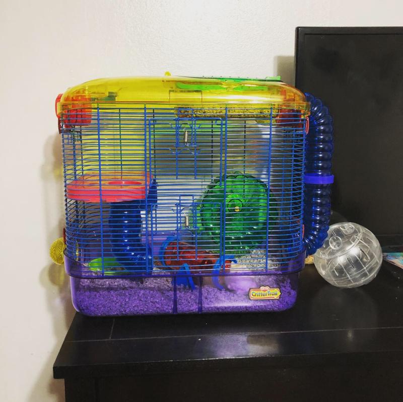 Kaytee crittertrail two level habitat online