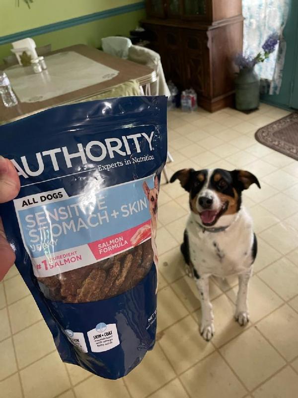 Authority Digestive Authority Dental Chews Dental Chews Happi