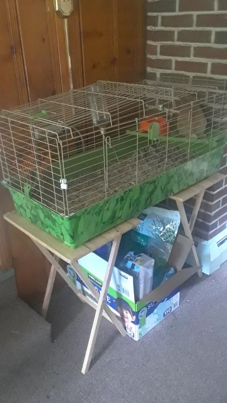 all living things rabbit hutch