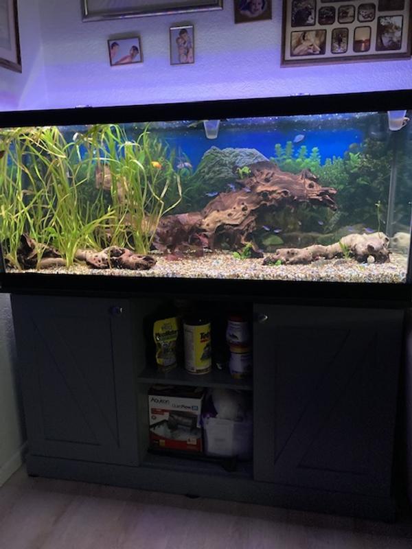 Marineland 75 gallon aquarium petsmart sale