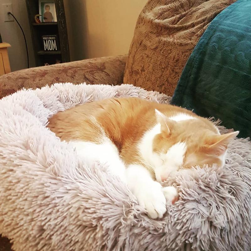 Whisker City White Mohair Fur Donut Cat Bed