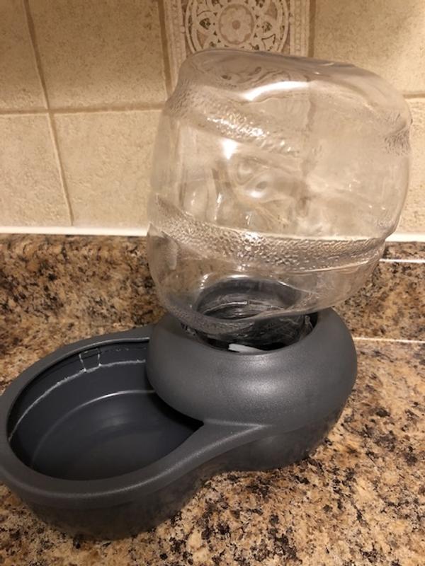 Fashion mason jar pet waterer