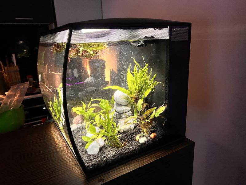 Flex fish tank best sale