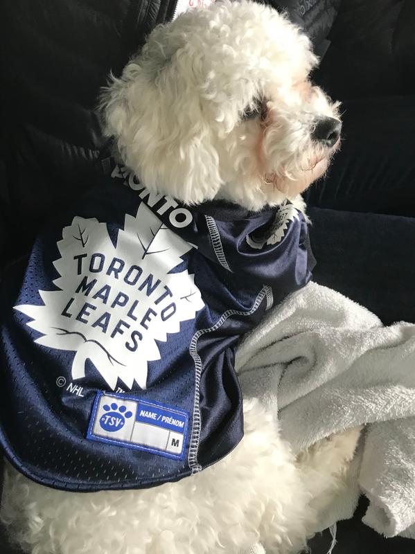 toronto maple leafs dog sweater