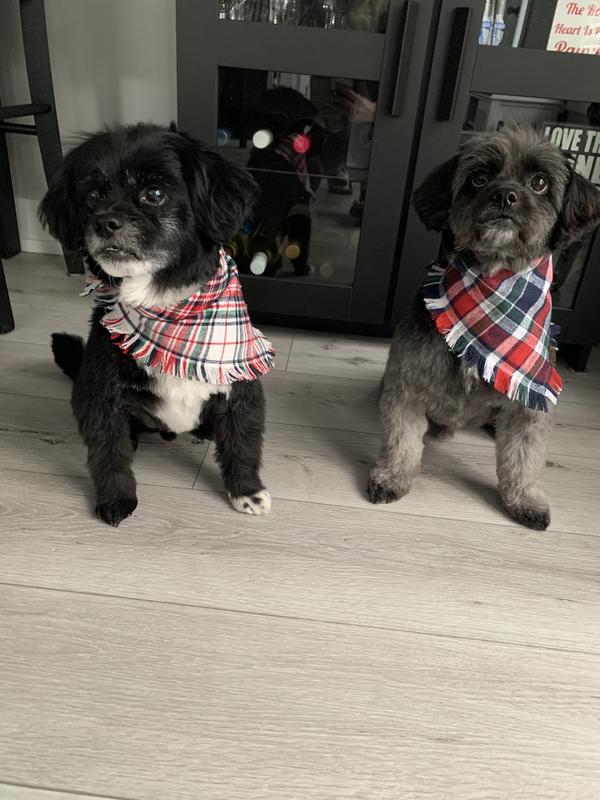 Chi tearless puppy shampoo sale